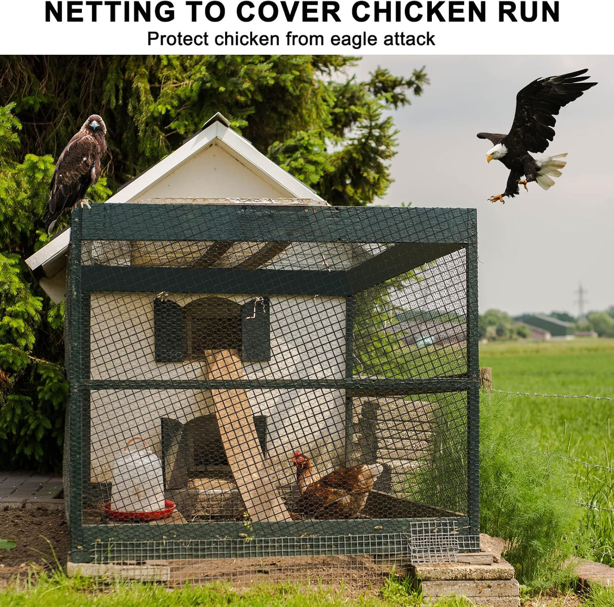 Bird Netting for Chicken Coop 25'x25', Poultry Netting, 3/4" Mesh