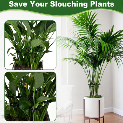 16PCS Plant Stem Support, Plant Stem Holder for Indoor Plants, Climbing Houseplant Stem Supports, Reusable Plant Stabilizer