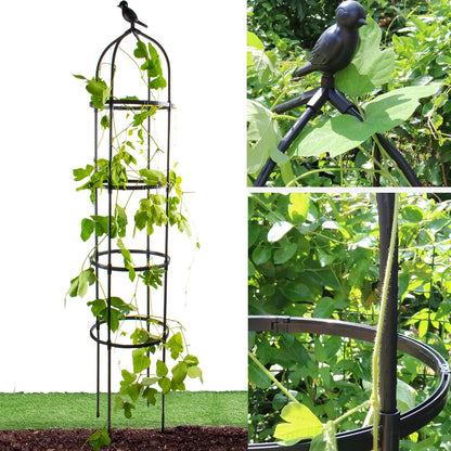 Garden Trellis for Climbing Plants, Rustproof Metal Pipe with Heavy Duty 6ft, Garden Outdoor Indoor Potted Plant Support（White）