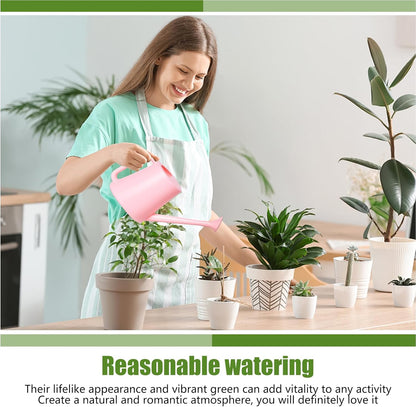Plant Watering Can - for Indoor and Outdoor Home Garden Plants - with Long Spout - Light Green - 1/2 Gallon