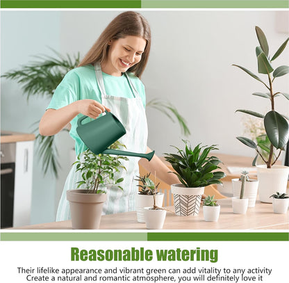 Plant Watering Can - for Indoor and Outdoor Home Garden Plants - with Long Spout - Light Green - 1/2 Gallon