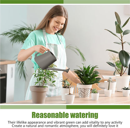 Plant Watering Can - for Indoor and Outdoor Home Garden Plants - with Long Spout - Light Green - 1/2 Gallon