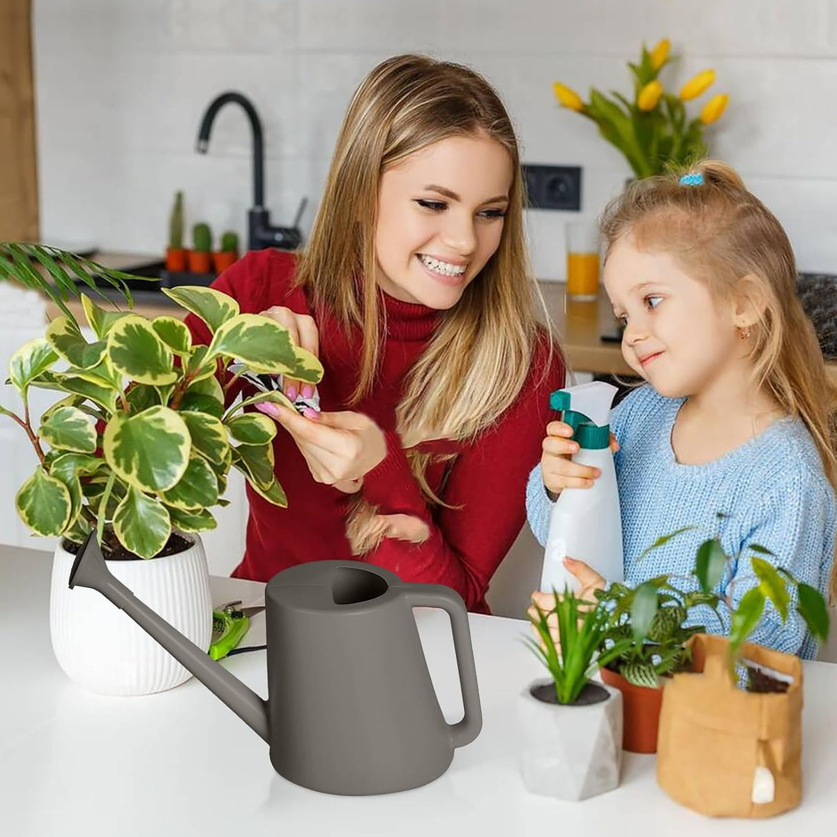 Plant Watering Can - for Indoor and Outdoor Home Garden Plants - with Long Spout - Light Green - 1/2 Gallon