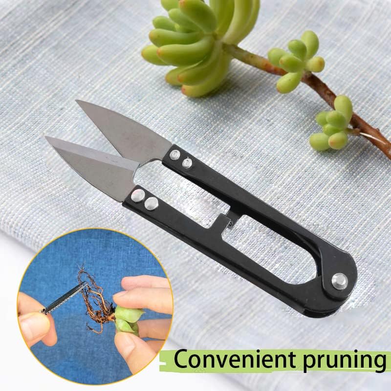 12 Pcs Succulent Tools Set Mini Transplanting Garden Tools Kit for Indoor Gardening Flower Pot Cactus Care
