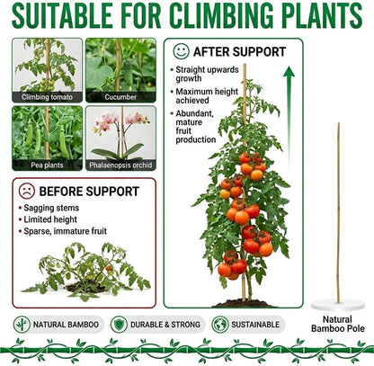 Plant Stakes Natural Bamboo Sticks - 25 Pcs Bamboo Garden Stakes for Plants 18 Inches Plant Support Sticks with Twist Ties for Tomatoes Beans Orchid Flowers Indoor Outdoor Potted Climbing Plants