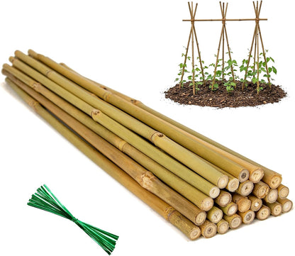 Plant Stakes Natural Bamboo Sticks - 25 Pcs Bamboo Garden Stakes for Plants 18 Inches Plant Support Sticks with Twist Ties for Tomatoes Beans Orchid Flowers Indoor Outdoor Potted Climbing Plants