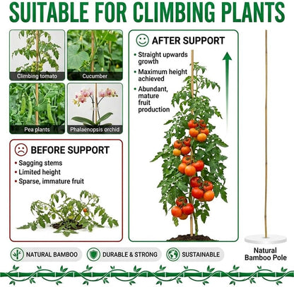 Plant Stakes Natural Bamboo Sticks - 25 Pcs Bamboo Garden Stakes for Plants 18 Inches Plant Support Sticks with Twist Ties for Tomatoes Beans Orchid Flowers Indoor Outdoor Potted Climbing Plants
