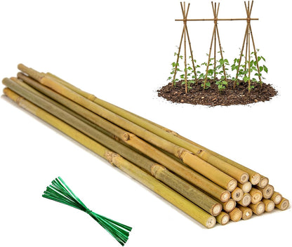 Plant Stakes Natural Bamboo Sticks - 25 Pcs Bamboo Garden Stakes for Plants 18 Inches Plant Support Sticks with Twist Ties for Tomatoes Beans Orchid Flowers Indoor Outdoor Potted Climbing Plants