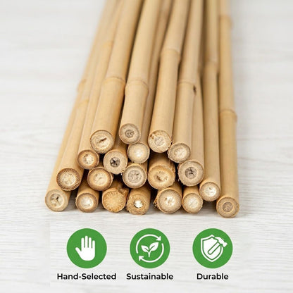 Plant Stakes Natural Bamboo Sticks - 25 Pcs Bamboo Garden Stakes for Plants 18 Inches Plant Support Sticks with Twist Ties for Tomatoes Beans Orchid Flowers Indoor Outdoor Potted Climbing Plants