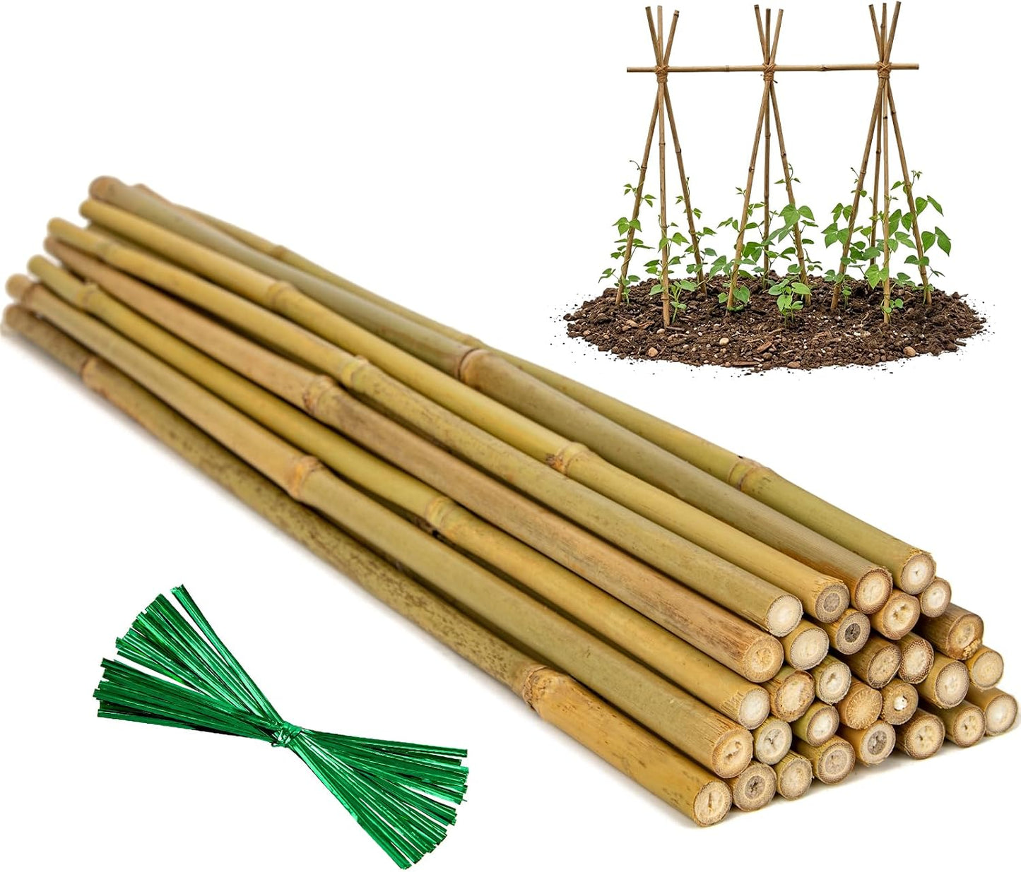 Plant Stakes Natural Bamboo Sticks - 25 Pcs Bamboo Garden Stakes for Plants 18 Inches Plant Support Sticks with Twist Ties for Tomatoes Beans Orchid Flowers Indoor Outdoor Potted Climbing Plants