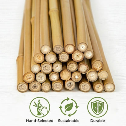 Plant Stakes Natural Bamboo Sticks - 25 Pcs Bamboo Garden Stakes for Plants 18 Inches Plant Support Sticks with Twist Ties for Tomatoes Beans Orchid Flowers Indoor Outdoor Potted Climbing Plants
