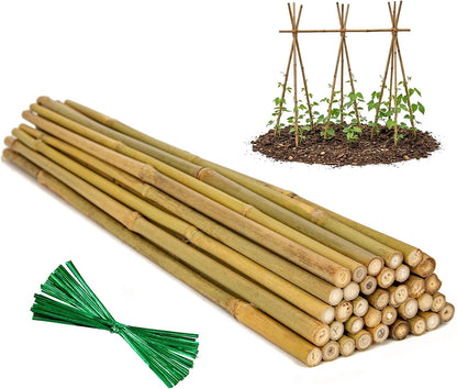 Plant Stakes Natural Bamboo Sticks - 25 Pcs Bamboo Garden Stakes for Plants 18 Inches Plant Support Sticks with Twist Ties for Tomatoes Beans Orchid Flowers Indoor Outdoor Potted Climbing Plants