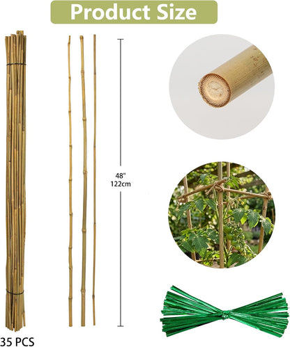 Plant Stakes Natural Bamboo Sticks - 25 Pcs Bamboo Garden Stakes for Plants 18 Inches Plant Support Sticks with Twist Ties for Tomatoes Beans Orchid Flowers Indoor Outdoor Potted Climbing Plants