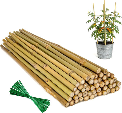 Plant Stakes Natural Bamboo Sticks - 25 Pcs Bamboo Garden Stakes for Plants 18 Inches Plant Support Sticks with Twist Ties for Tomatoes Beans Orchid Flowers Indoor Outdoor Potted Climbing Plants