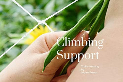 Trellis Netting 5 x 350 ft Heavy Duty Polyester White - 6 Inch Mesh Support Twine for Growing High Yield Tomatoes, Peas, Vine Climbing Plants Fruits Vegetables