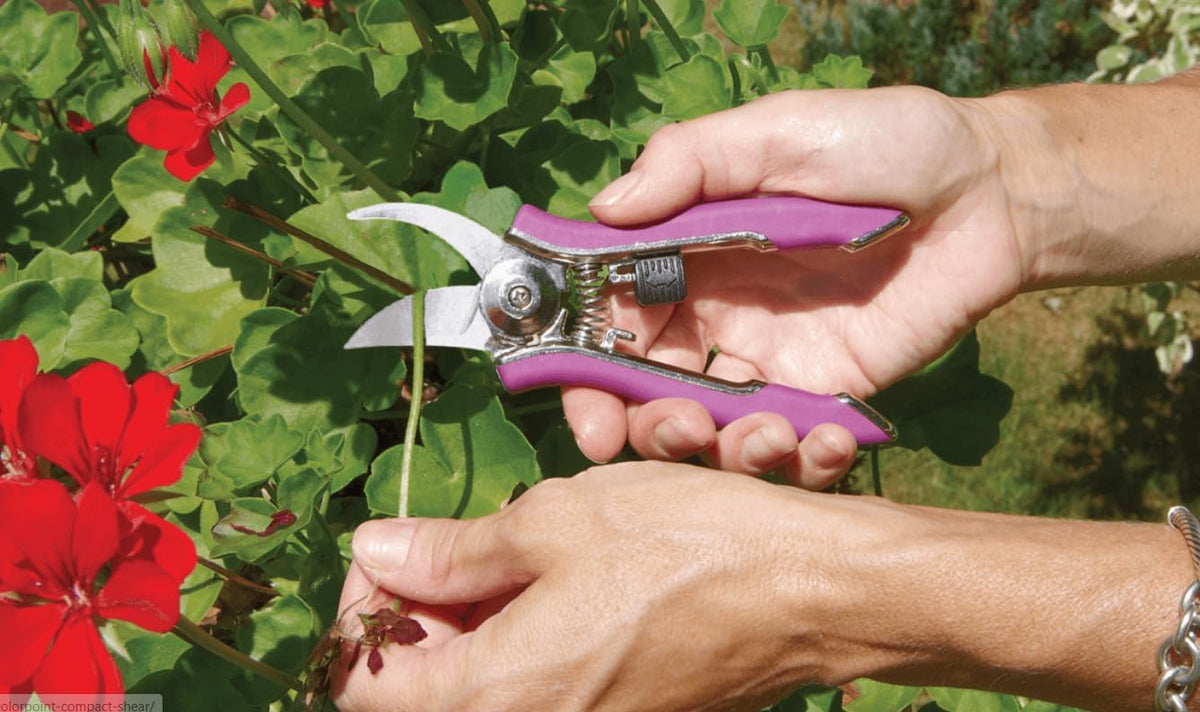 ColorPoint Stainless Steel Compact Garden Pruning Shears, Hand Pruner, Garden Clippers, with Heavy Duty Blade and Easy grip Handle, Berry