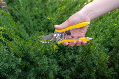 ColorPoint Stainless Steel Compact Garden Pruning Shears, Hand Pruner, Garden Clippers, with Heavy Duty Blade and Easy grip Handle, Berry
