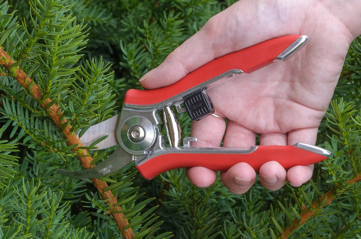 ColorPoint Stainless Steel Compact Garden Pruning Shears, Hand Pruner, Garden Clippers, with Heavy Duty Blade and Easy grip Handle, Berry