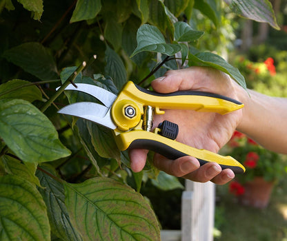 ColorPoint Stainless Steel Compact Garden Pruning Shears, Hand Pruner, Garden Clippers, with Heavy Duty Blade and Easy grip Handle, Berry