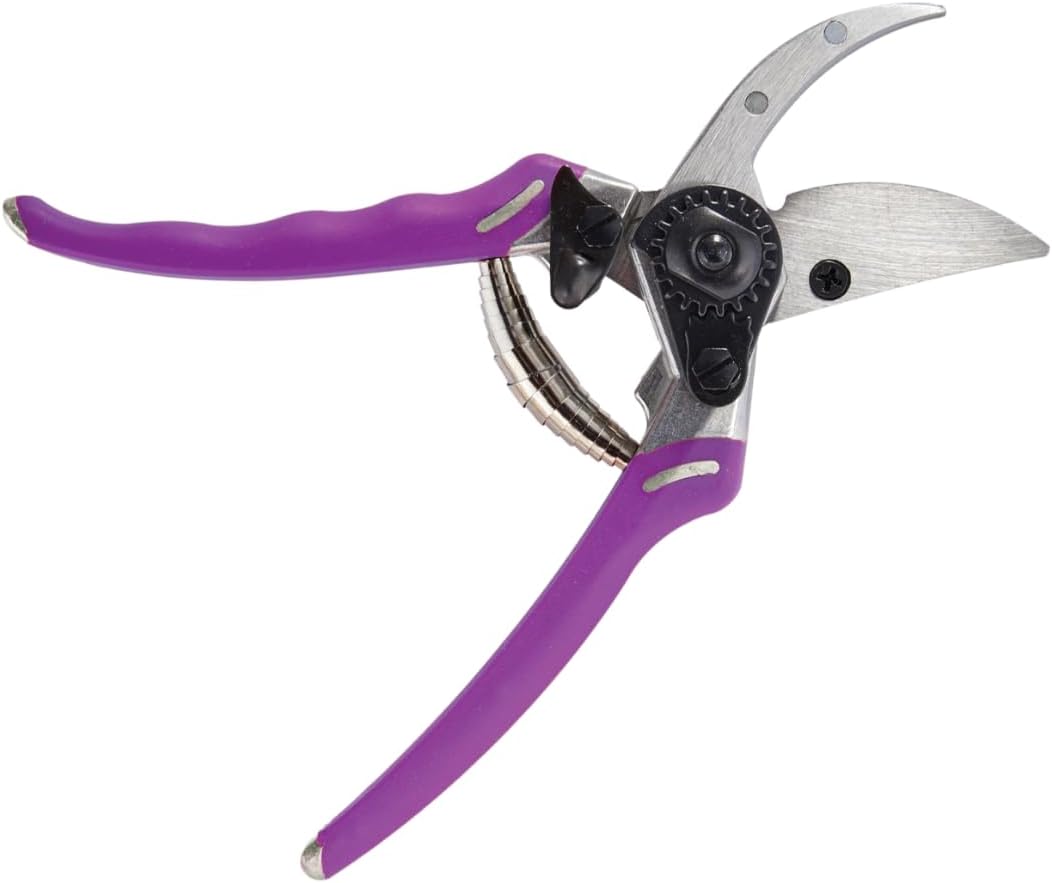 ColorPoint Stainless Steel Compact Garden Pruning Shears, Hand Pruner, Garden Clippers, with Heavy Duty Blade and Easy grip Handle, Berry