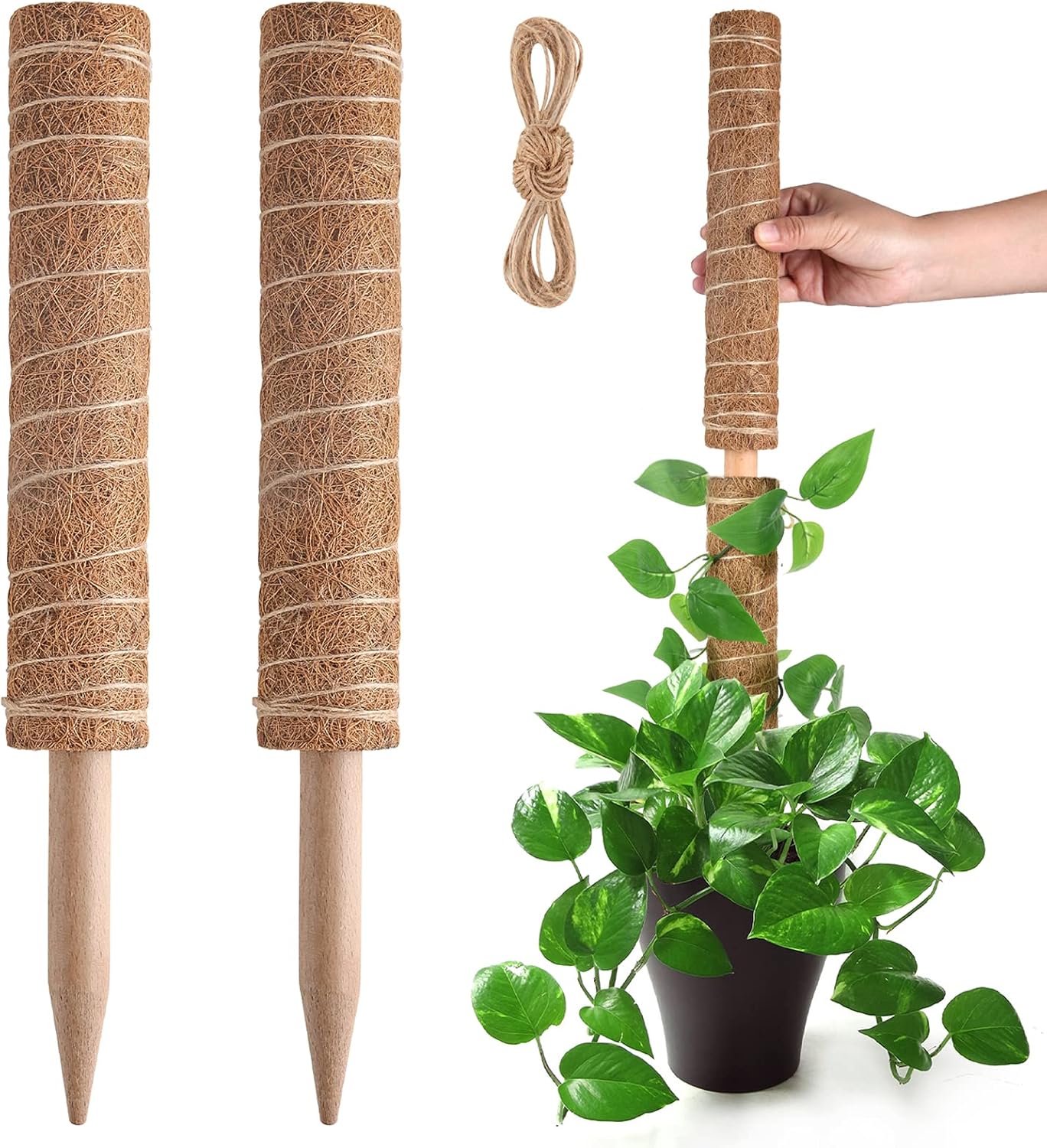 Moss Pole for Plants Monstera, Extendable Plant Sticks Support, 2Pcs