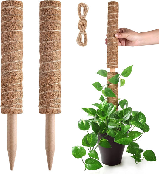 Moss Pole for Plants Monstera, Extendable Plant Sticks Support, 2Pcs