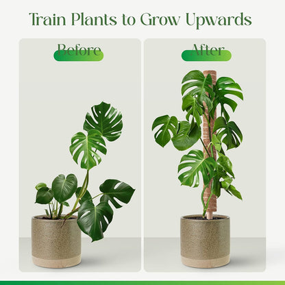 Moss Pole for Plants Monstera, Extendable Plant Sticks Support, 2Pcs