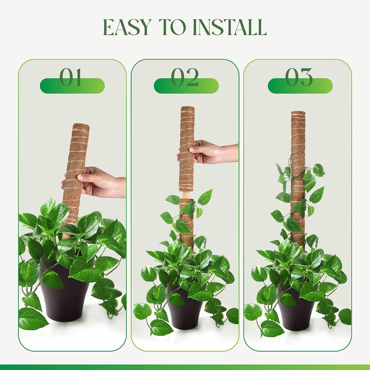 Moss Pole for Plants Monstera, Extendable Plant Sticks Support, 2Pcs