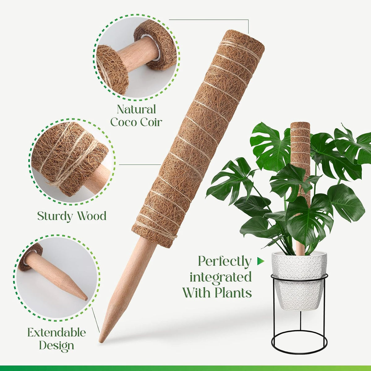 Moss Pole for Plants Monstera, Extendable Plant Sticks Support, 2Pcs