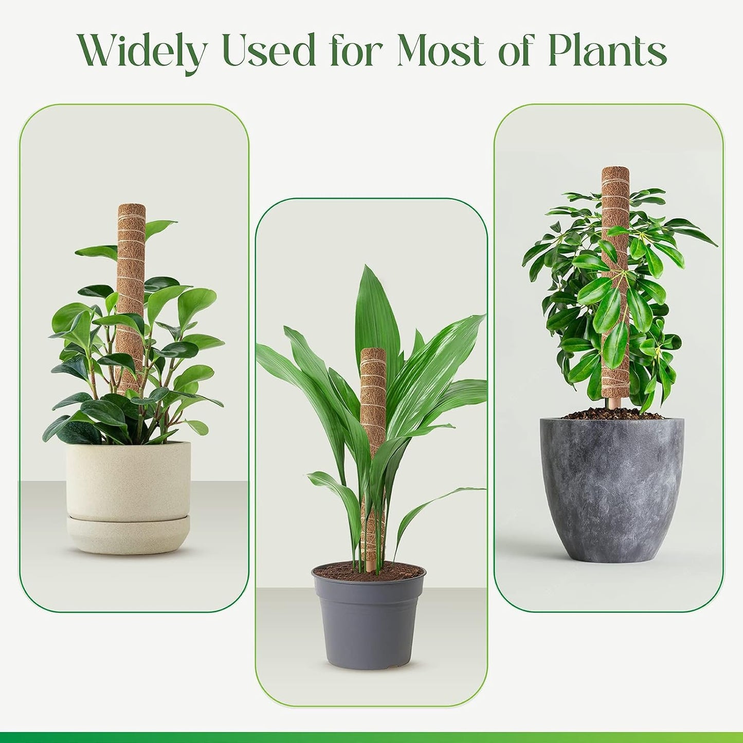 Moss Pole for Plants Monstera, Extendable Plant Sticks Support, 2Pcs