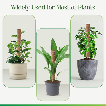 Moss Pole for Plants Monstera, Extendable Plant Sticks Support, 2Pcs