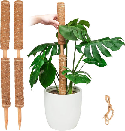 Moss Pole for Plants Monstera, Extendable Plant Sticks Support, 2Pcs