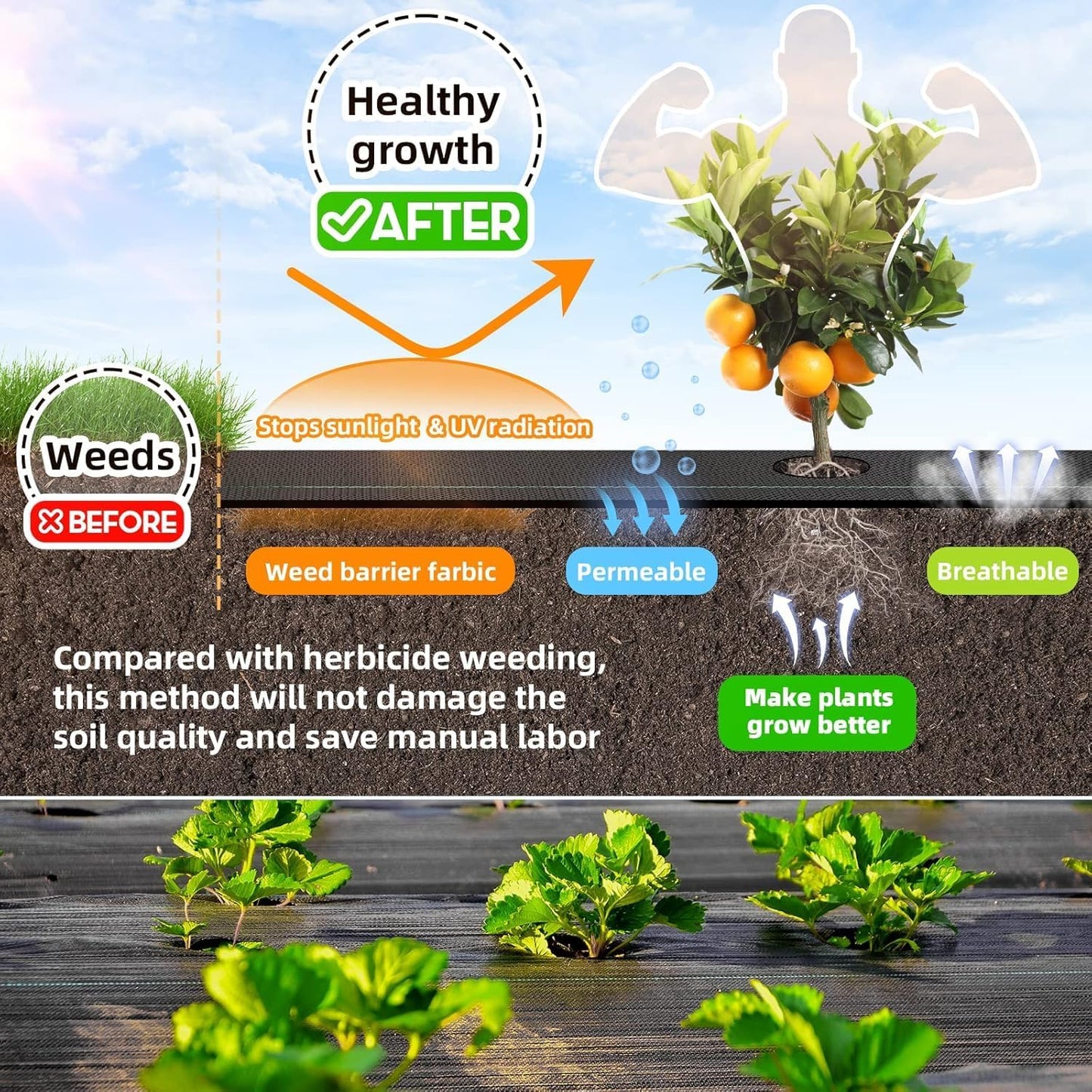 3FT x 50FT Weed Barrier Landscape Fabric Heavy Duty