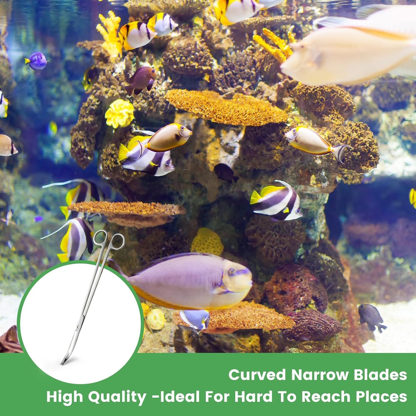 12" Stainless Steel Aquarium Scissors, Curved Long Aquatic Plant Trimming Scissors for Aquascaping, Fish Tank & Terrarium Maintenance in Fresh & Salt Water (Silver)