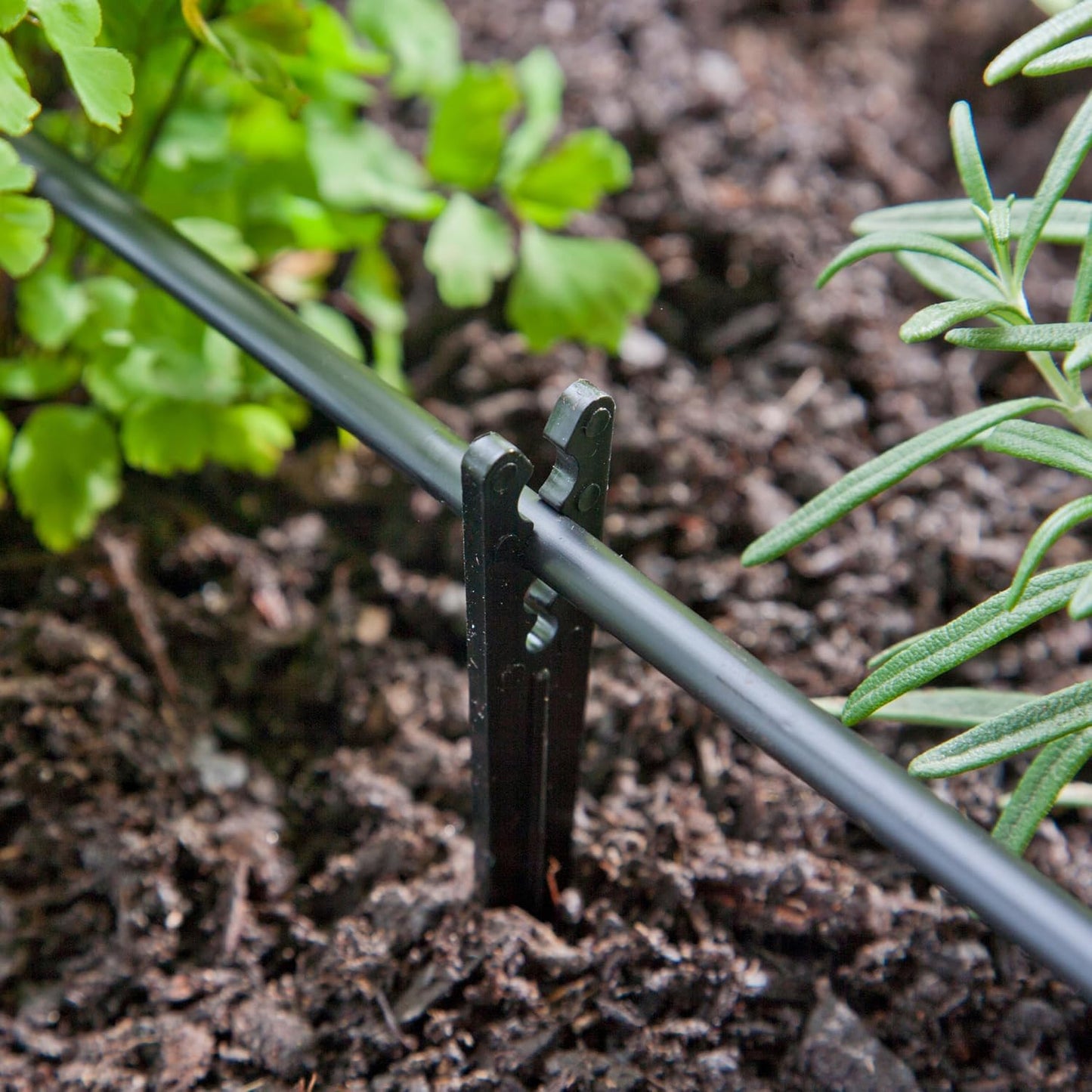 381025B 1/8-Inch - 1/4-Inch Heavy-Duty Tubing Support Stake for Drip Irrigation Supply Tubing and Drip Systems, 6-Inch Long, Plastic, 25-Pack, Black