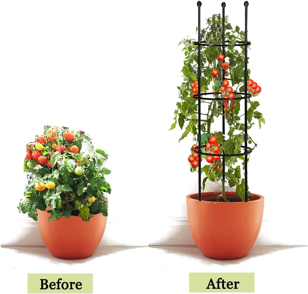 Garden Trellis,2 Pack Plant Trellis,2 in 1 Tomato Cages and Supports for Vines Crop,Plant Stake for Climbing Plants Indoor Outdoor,Plant Cage for Flower,Vegetable,Vines, Pot Trellis for Potted Plants