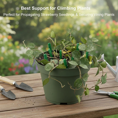 120 Pcs Strawberry Plant Support Pins, Plastic U-Shaped Garden Anchor Clips for Plant Cuttings and Runners Rooting, Reusable Plant Fixing Pins for Garden Use (Green)