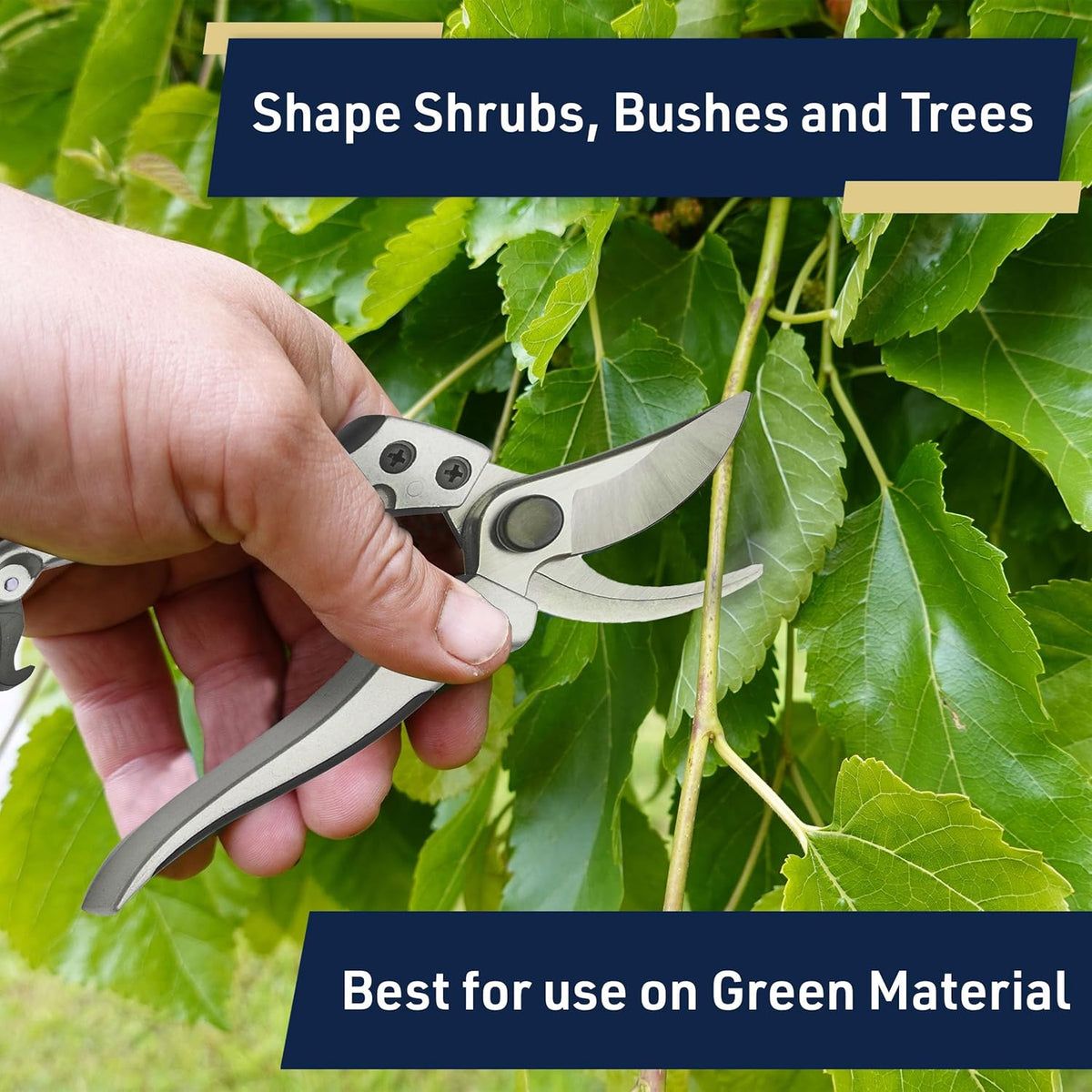 Bypass Pruning Shears for Gardening - 8” Heavy Duty Garden Shears - Spring-Loaded Snap Catch and Ergonomic Grips - Ultra Sharp Rust Resistant Trimming Scissors - Gardening Tools