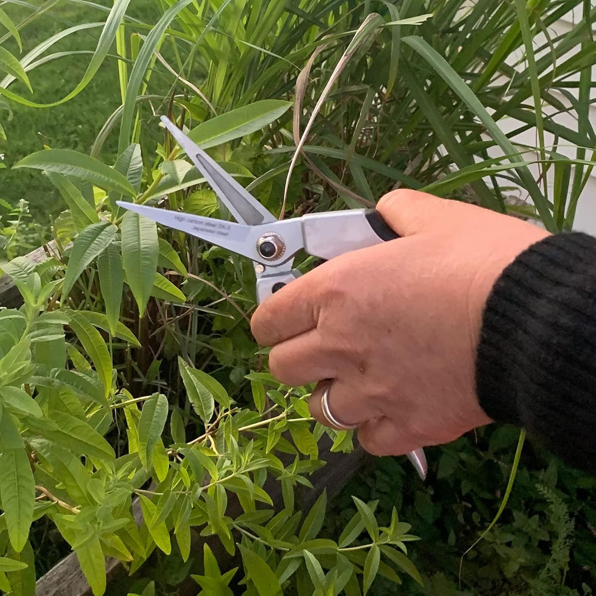 Bypass Pruning Shears for Gardening - 8” Heavy Duty Garden Shears - Spring-Loaded Snap Catch and Ergonomic Grips - Ultra Sharp Rust Resistant Trimming Scissors - Gardening Tools