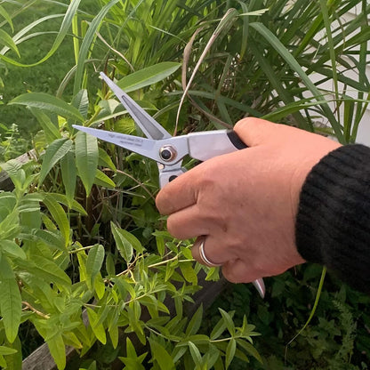 Bypass Pruning Shears for Gardening - 8” Heavy Duty Garden Shears - Spring-Loaded Snap Catch and Ergonomic Grips - Ultra Sharp Rust Resistant Trimming Scissors - Gardening Tools