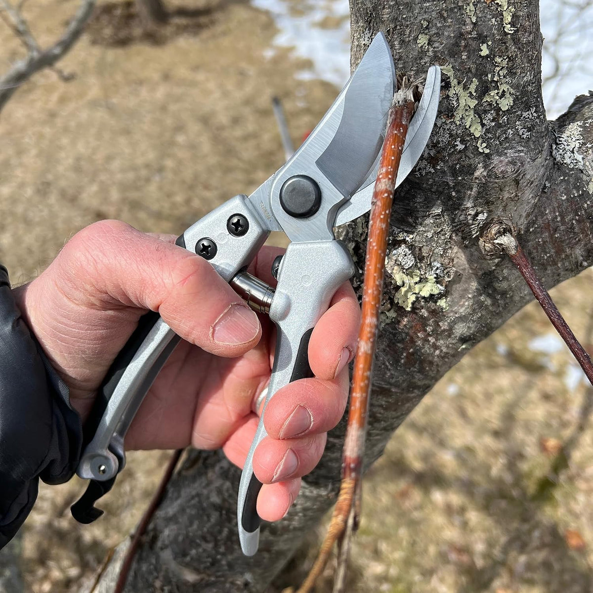 Bypass Pruning Shears for Gardening - 8” Heavy Duty Garden Shears - Spring-Loaded Snap Catch and Ergonomic Grips - Ultra Sharp Rust Resistant Trimming Scissors - Gardening Tools
