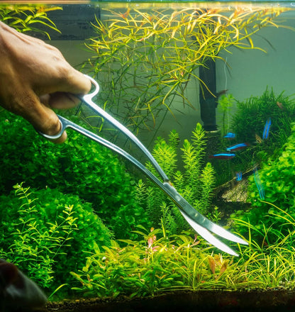 Stainless Steel 12" Curved Aquarium Scissors for Fish Tanks