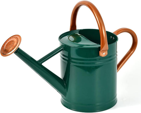 Metal Watering Can 1 Gallon for Outdoor Garden Plants, Green