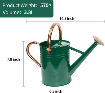 Metal Watering Can 1 Gallon for Outdoor Garden Plants, Green