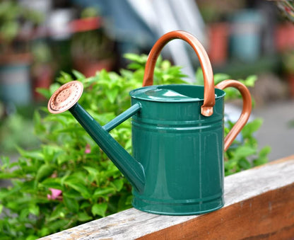 Metal Watering Can 1 Gallon for Outdoor Garden Plants, Green