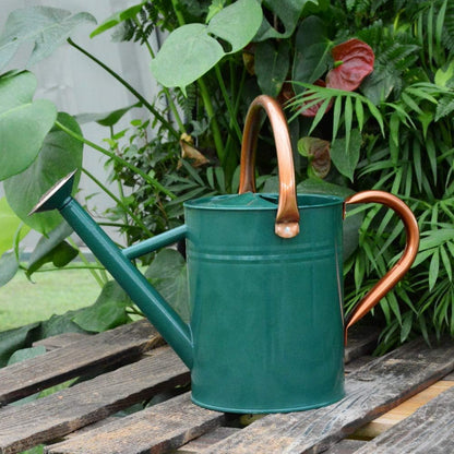 Metal Watering Can 1 Gallon for Outdoor Garden Plants, Green