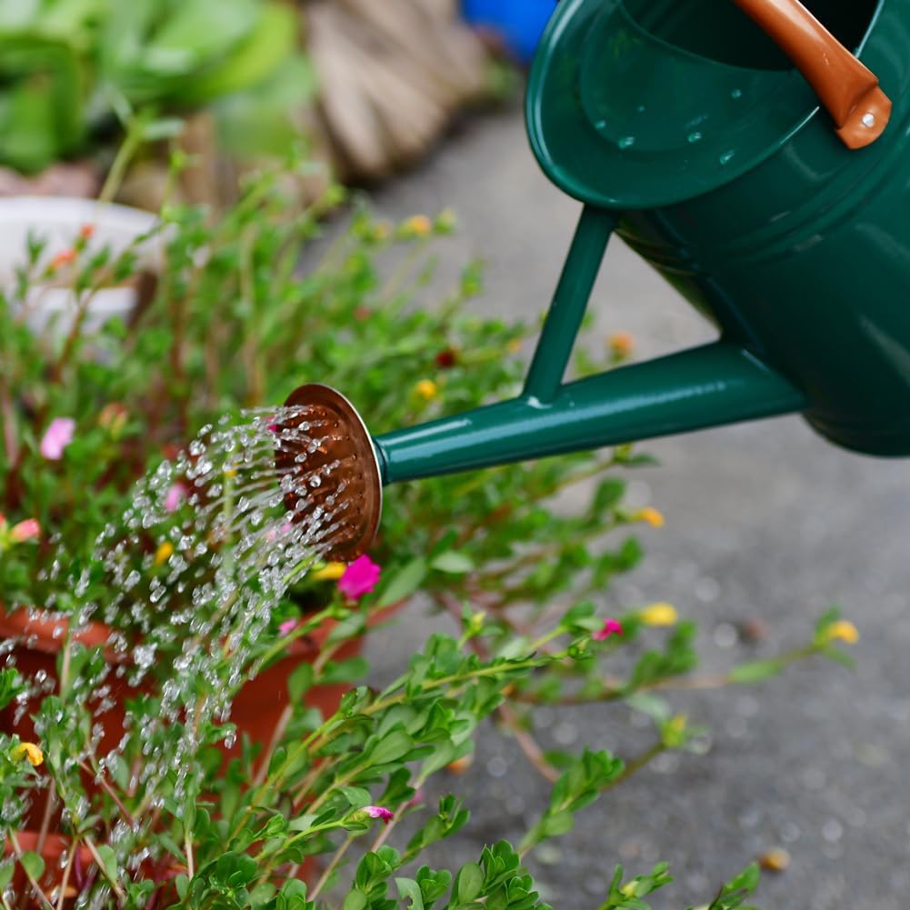 Metal Watering Can 1 Gallon for Outdoor Garden Plants, Green