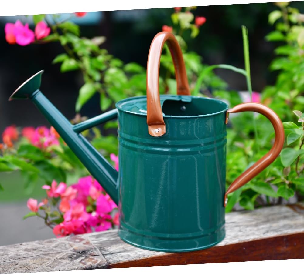 Metal Watering Can 1 Gallon for Outdoor Garden Plants, Green