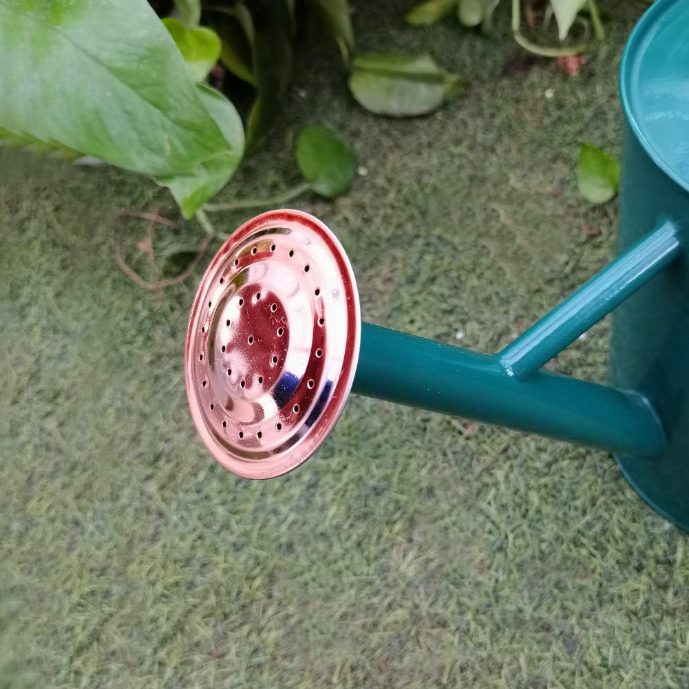 Metal Watering Can 1 Gallon for Outdoor Garden Plants, Green