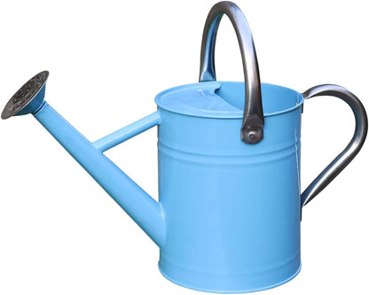 Metal Watering Can 1 Gallon for Outdoor Garden Plants, Green